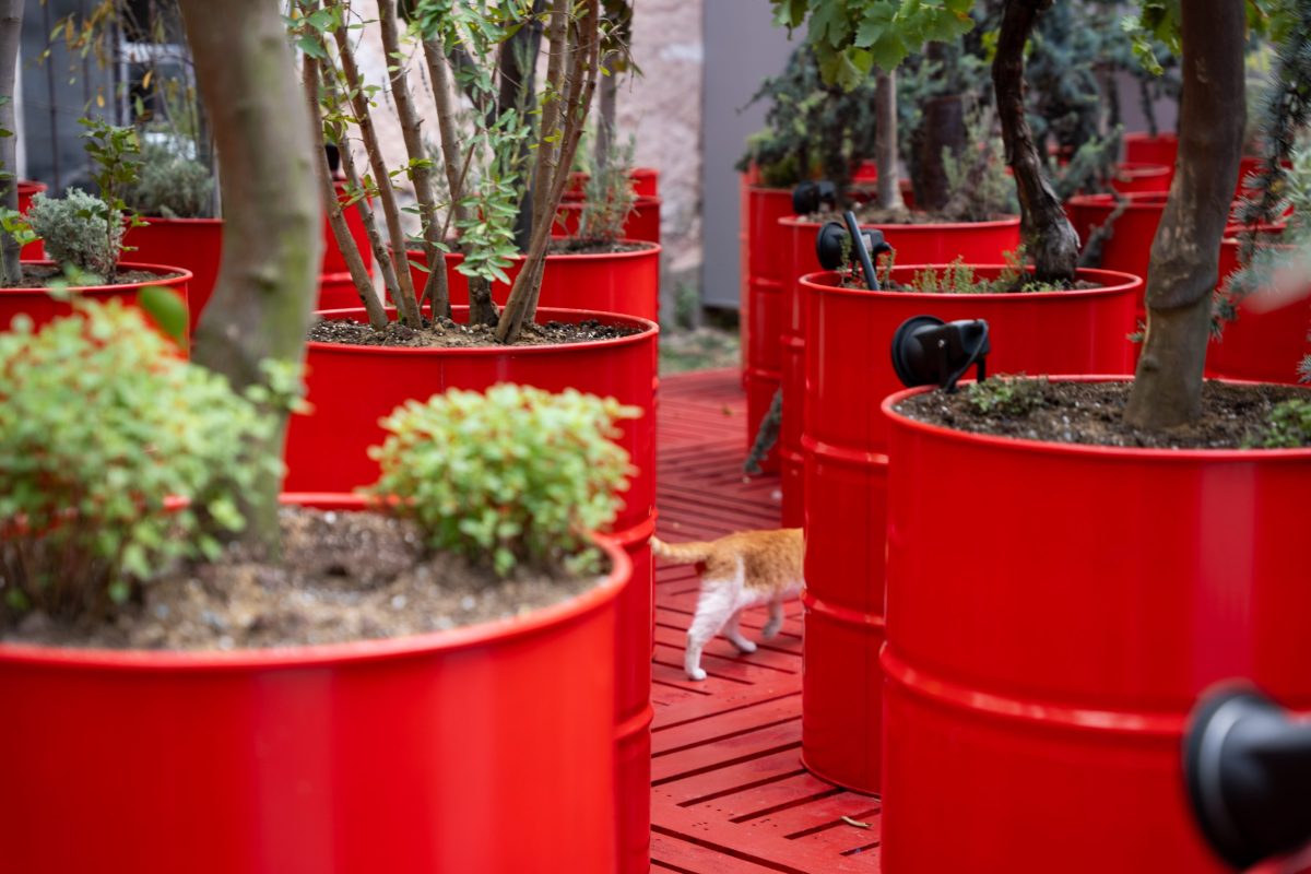 Khalil Rabah, Kırmızı Rotavesait