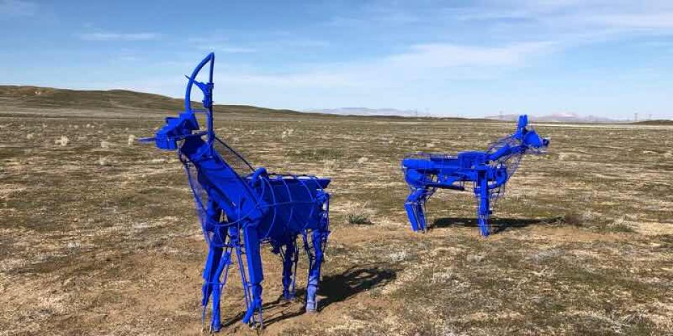 Müştereklerin gaspı: Çanakyayla GES projesi