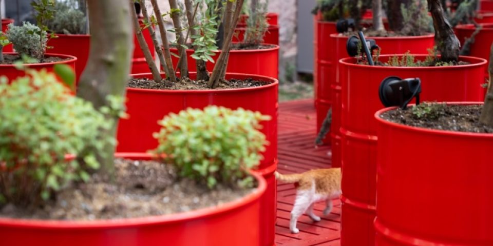 “Üç ayaklı kedi”: metafor ve realite