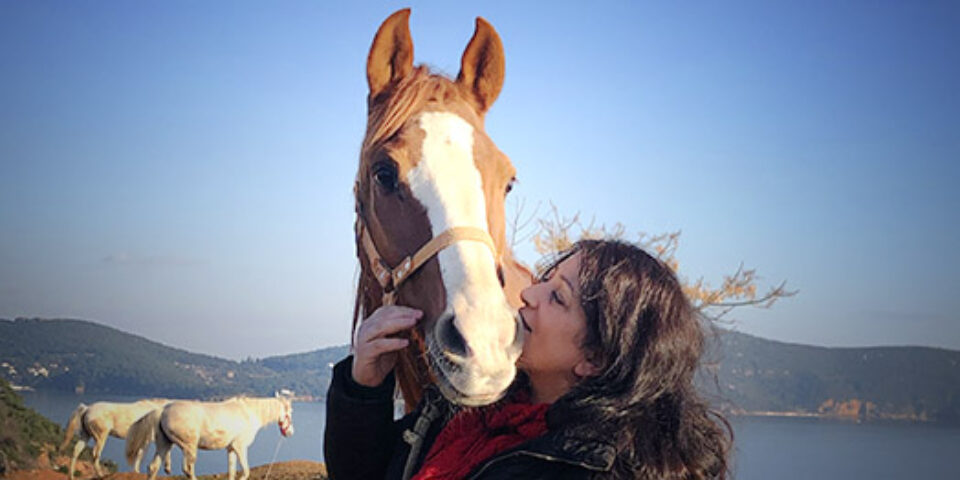 Atların mutluluğu nasıl mümkün olabilir?